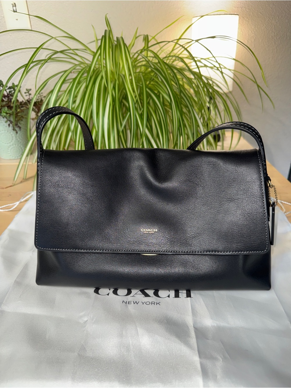 COACH Chelsea Shoulder Bag 30